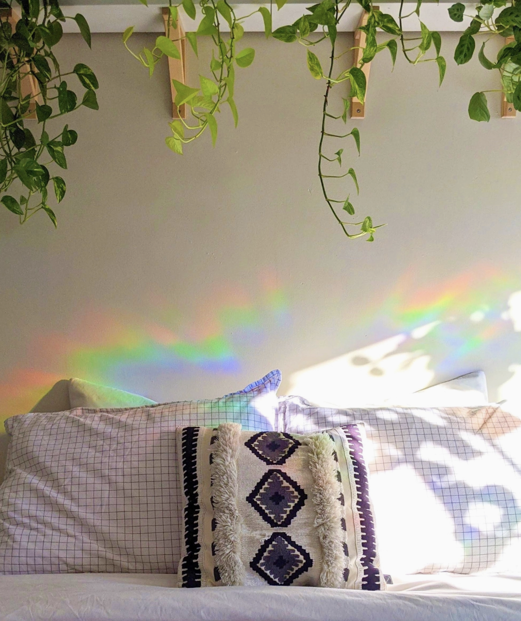A cozy bed with lush green plants elegantly hanging from the ceiling above it.
