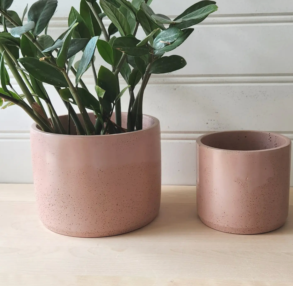 Two pink ceramic pots containing vibrant green plants, placed side by side on a wooden surface.