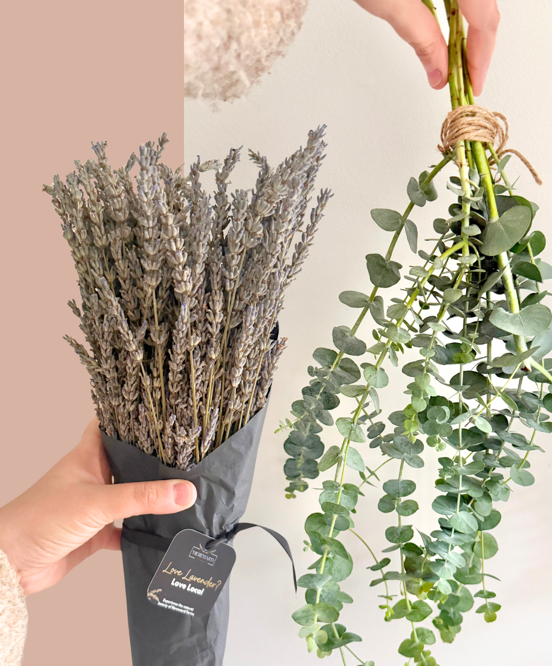 Fresh Eucalyptus & Dried French Hybrid Lavender