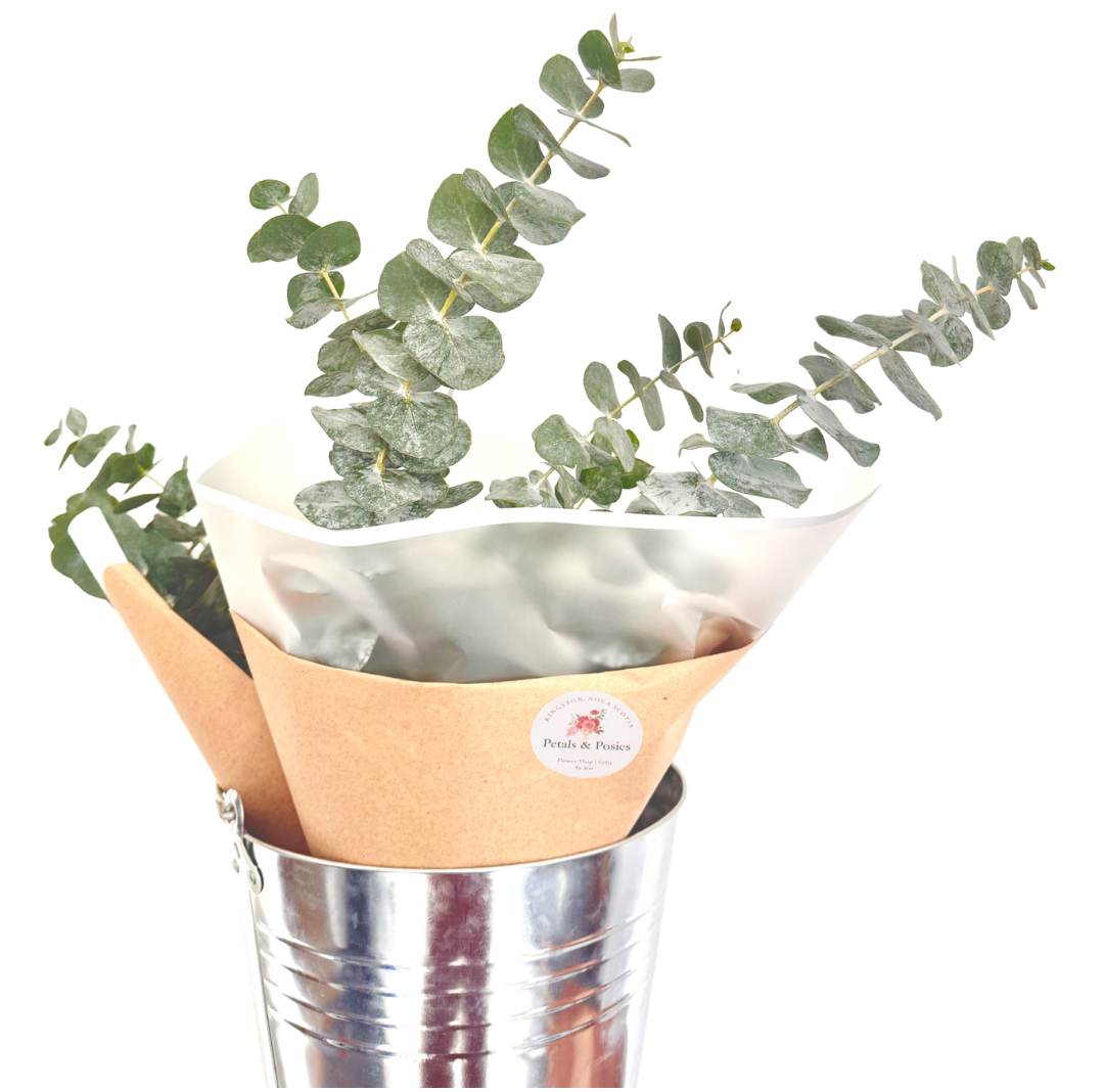 Fresh Eucalyptus Bundle