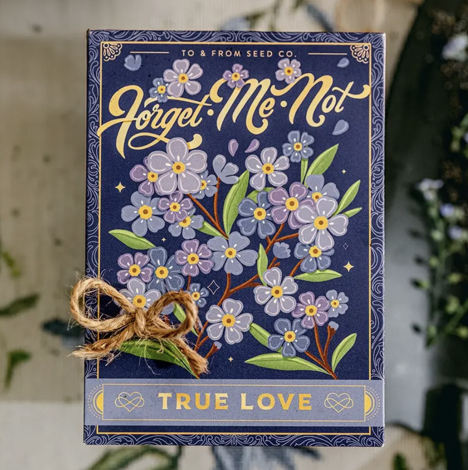 A pair of hands holding a deck of playing cards featuring hearts, symbolizing true love and connection.