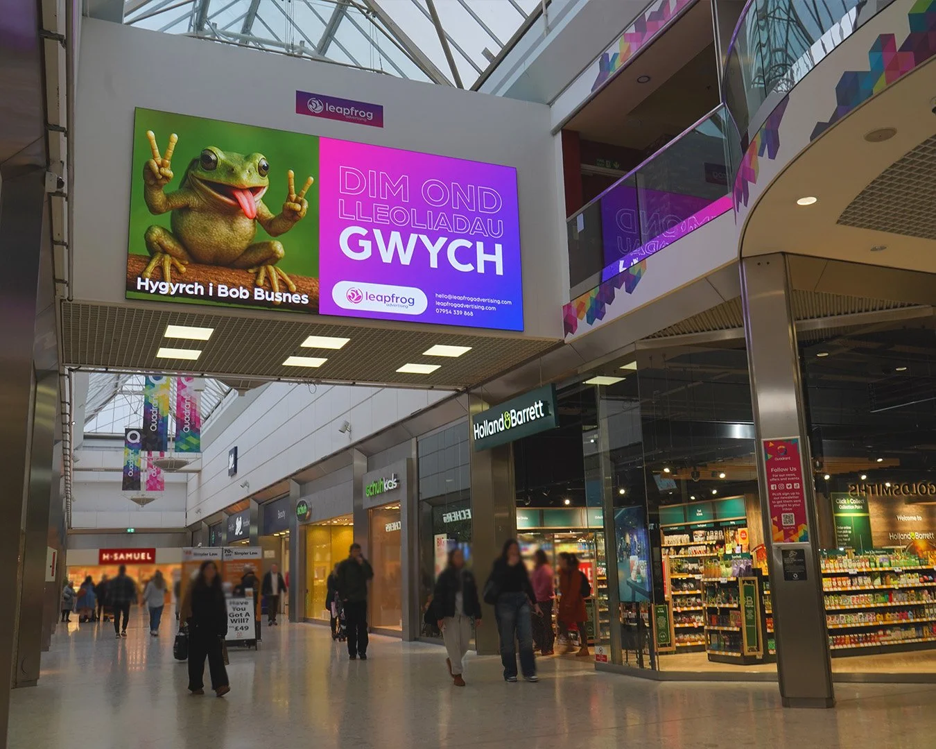 Leapfrog Advertising on Billboards in Swansea