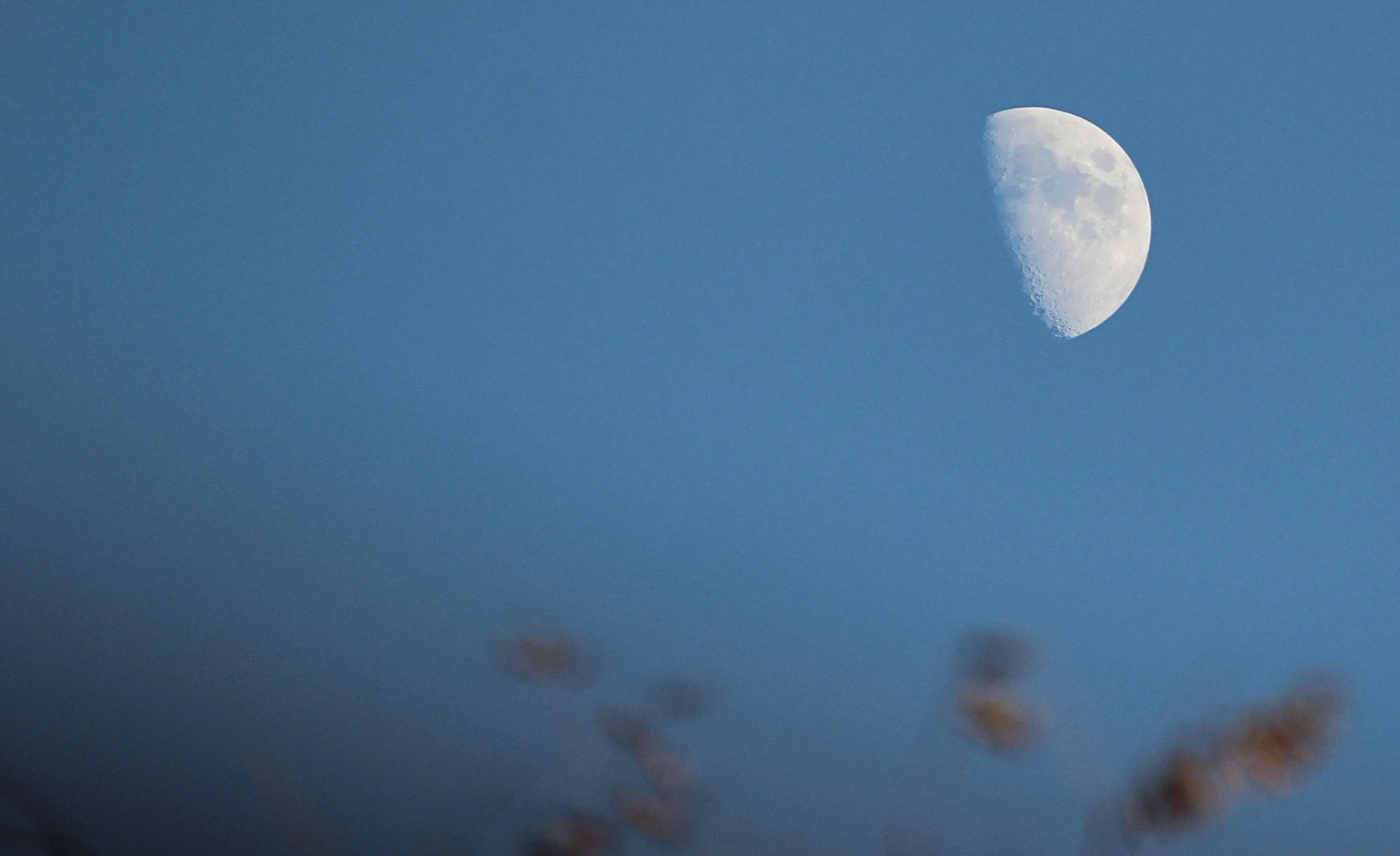 🌙 ♐️ First Quarter Moon in Sag