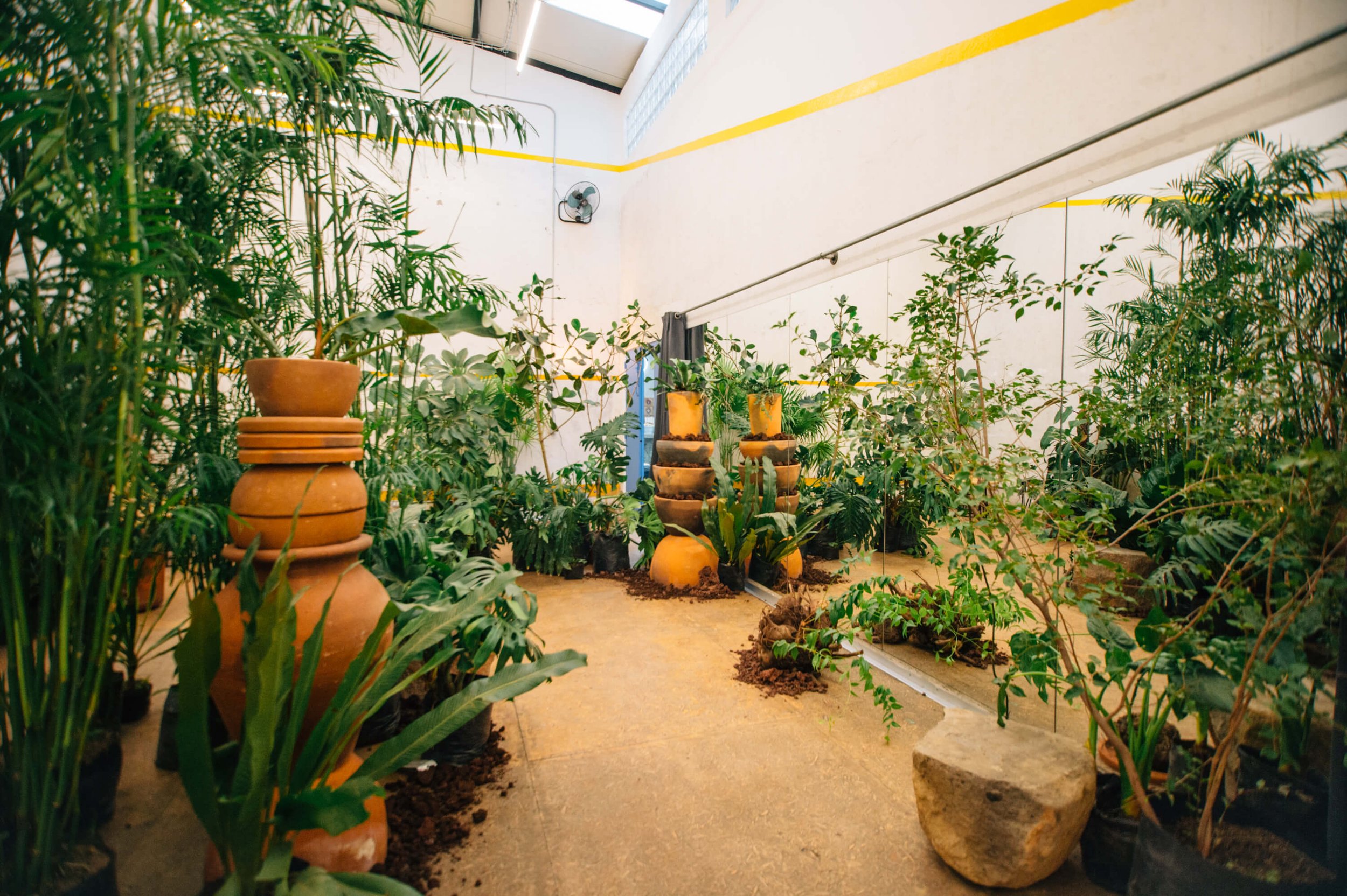 Open.ing Immersive Experience, Mexico City