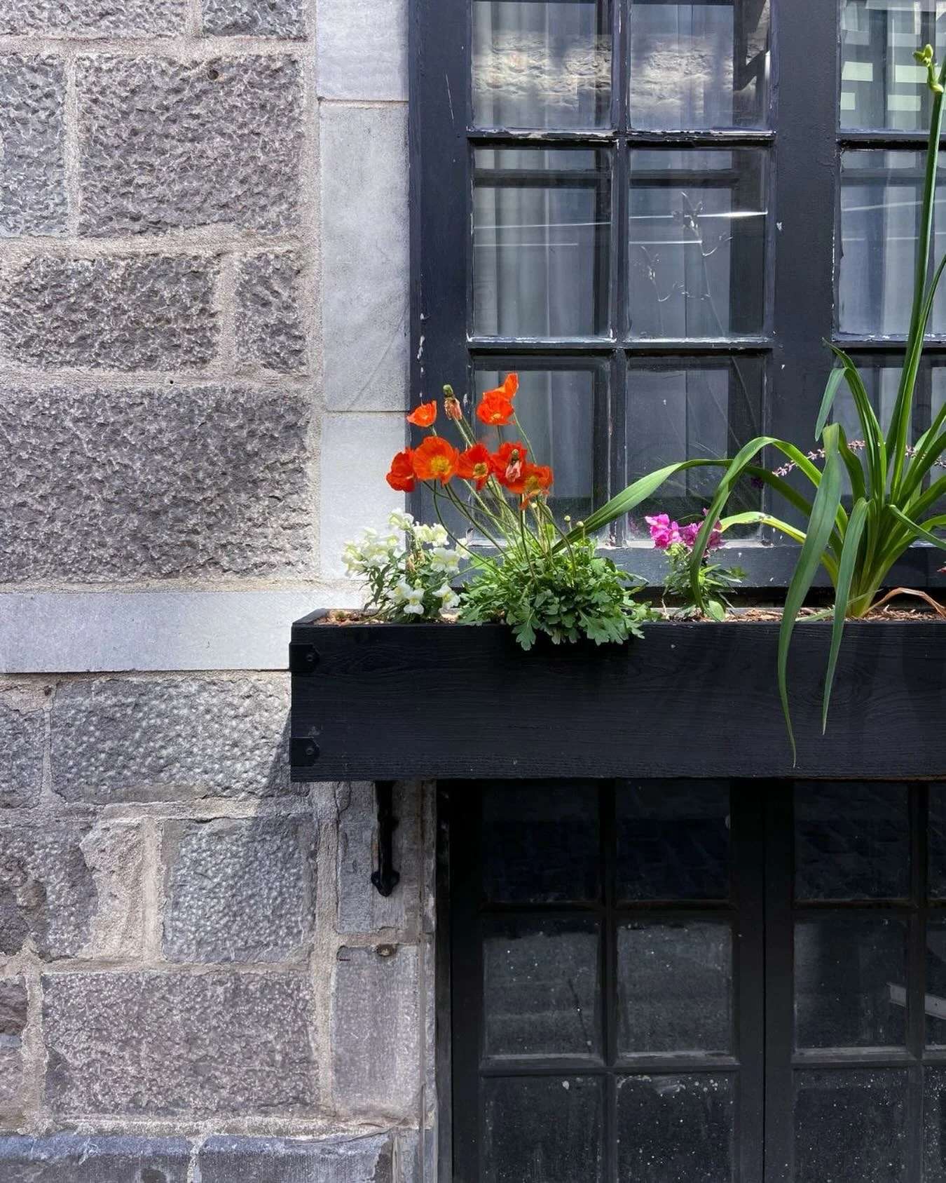 Le printemps serait en route vers Montr&eacute;al. On le croira quand on le verra. 🌸 ❄️. -
Rumour has it spring is on its way to Montr&eacute;al. We&rsquo;ll believe it when we see it. 🌸❄️