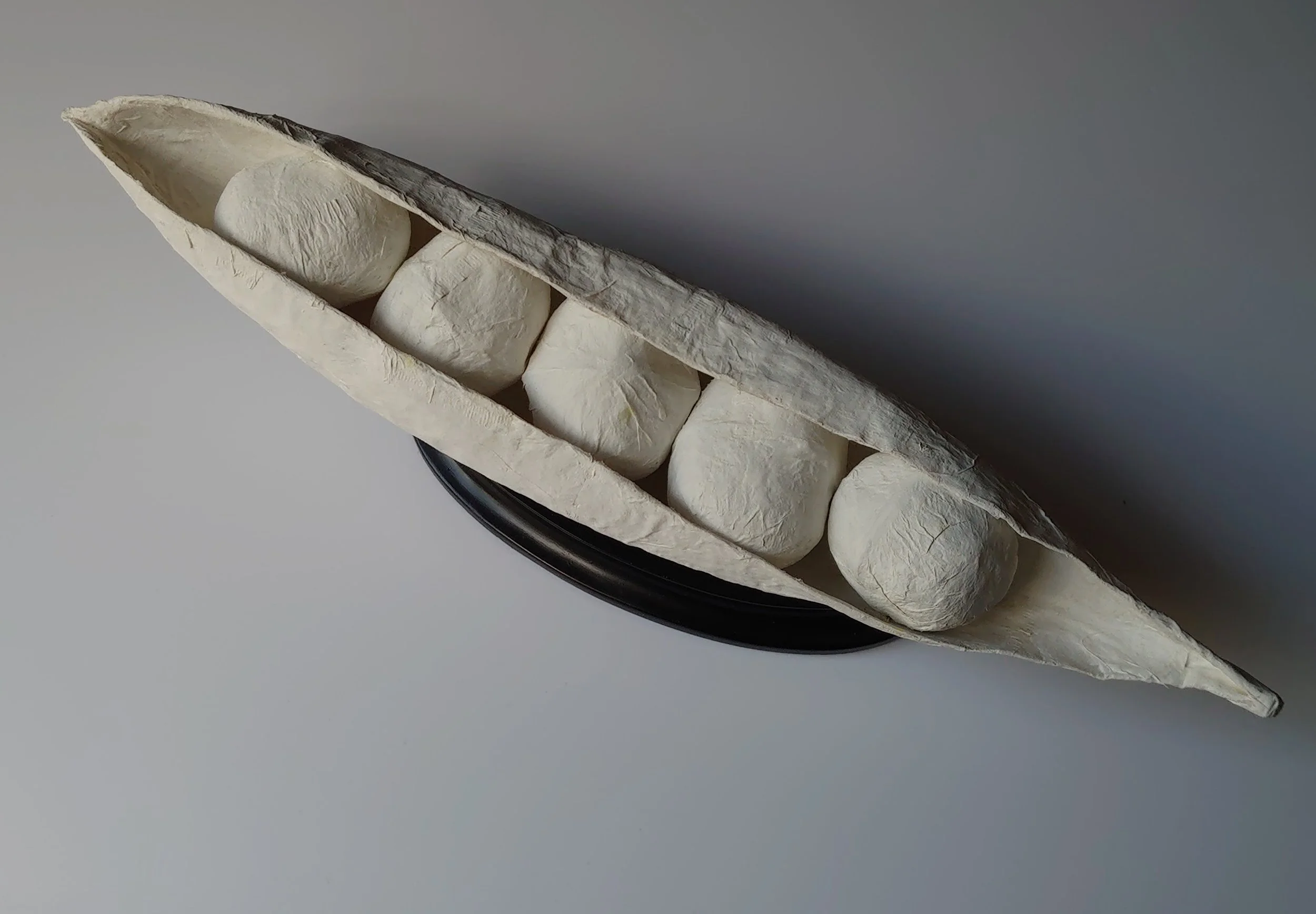 'Like peas in a Pod' - Paper on wood plinth