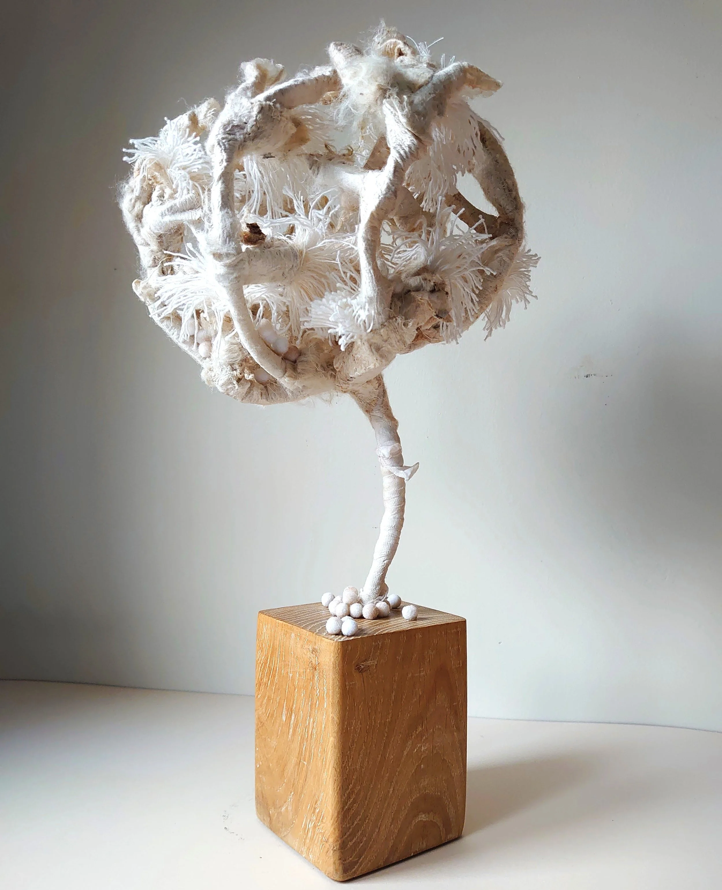 'With Rain Comes Hope' - Wire, silk, fabric and cotton on an oak plinth.