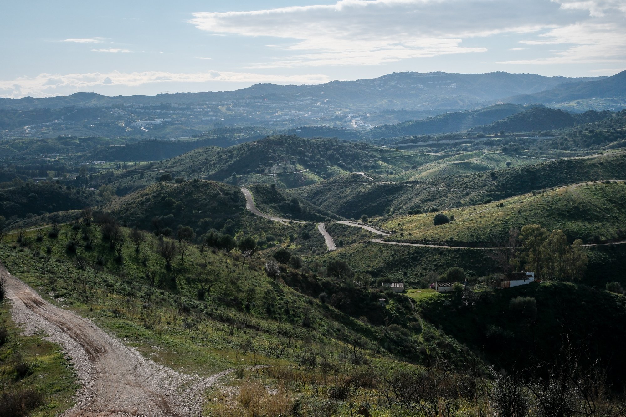 Toro Rally scenery.jpg