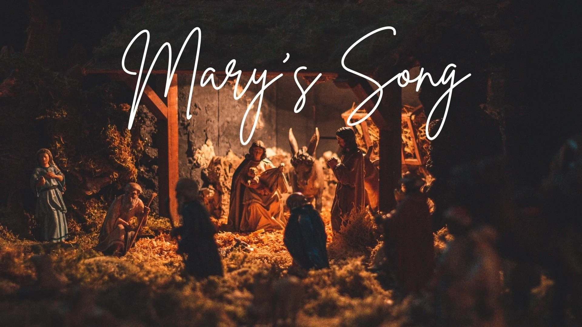 Roots to Rooftop #5 - Christmas Magnified