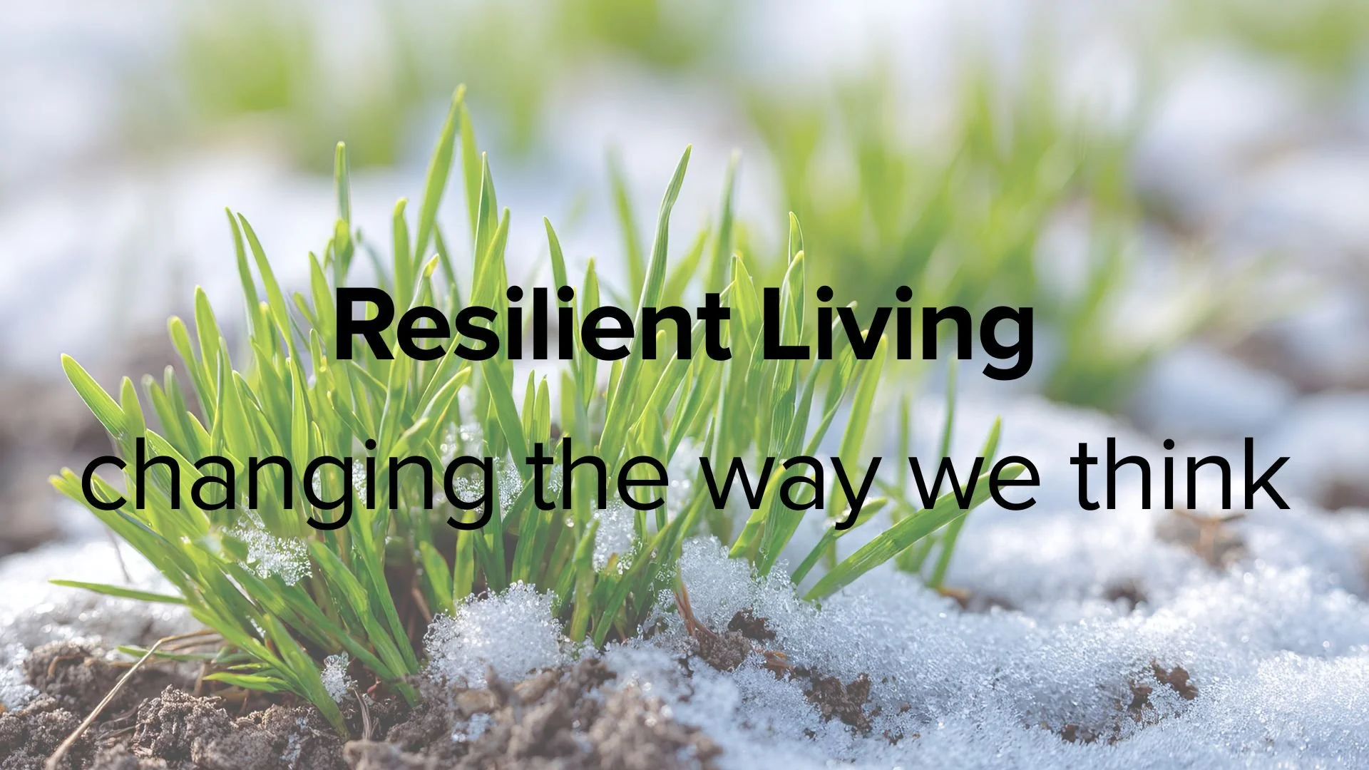 What’s Really Powering Your Life?