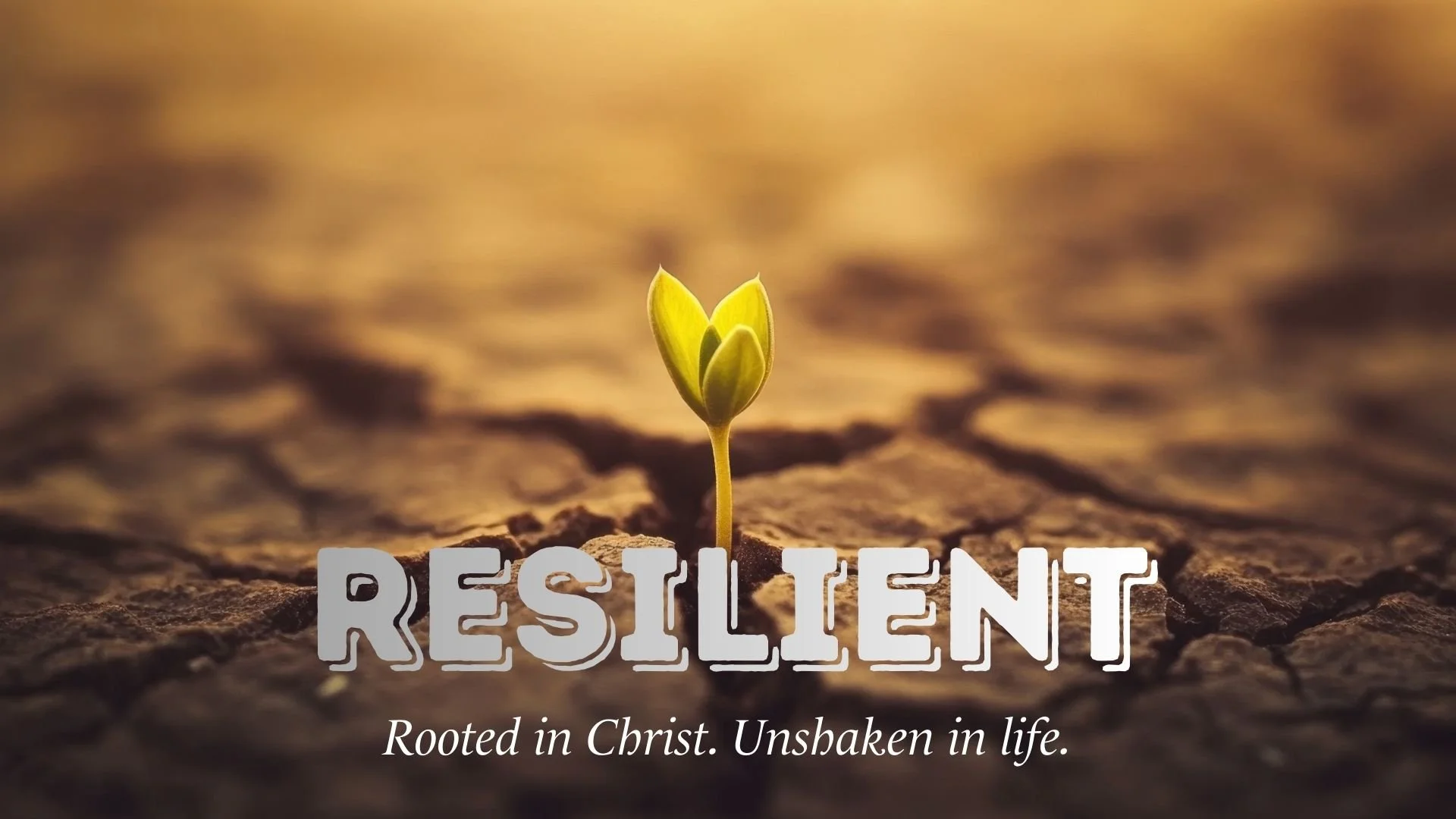 Resilient #6 - Resilient Purpose