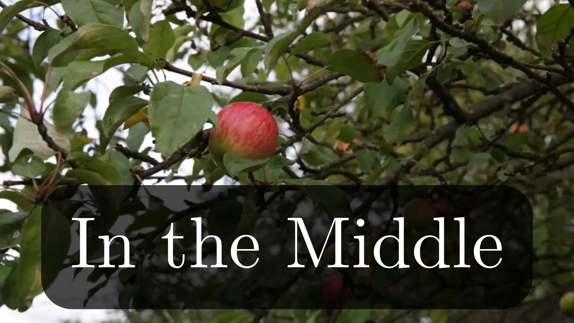 When The Center Shifts