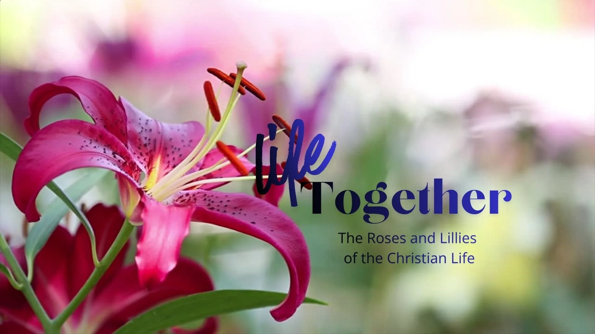 Life Together #1 - The Roses and Lilies of the Christian Life