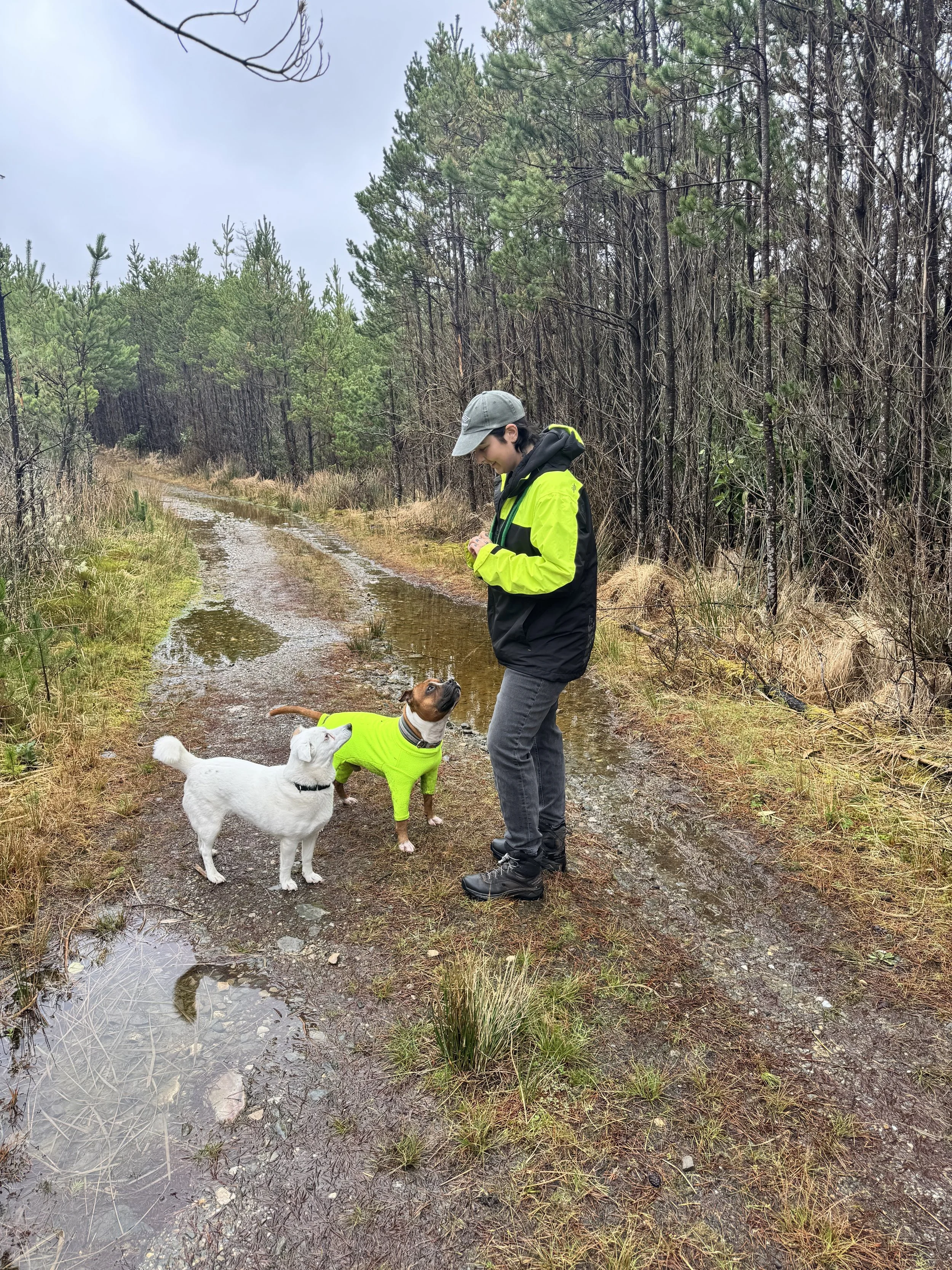 Person in a neon jacket and cap standing with two dogs on a muddy forest path.