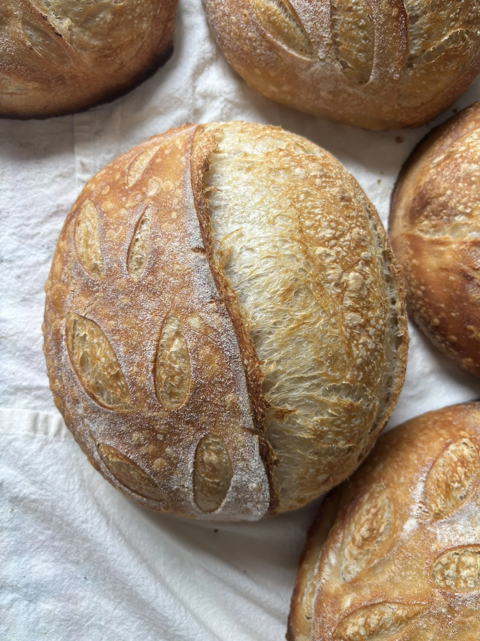 Artisan sourdough bread loaves with decorative scoring on a cloth background.