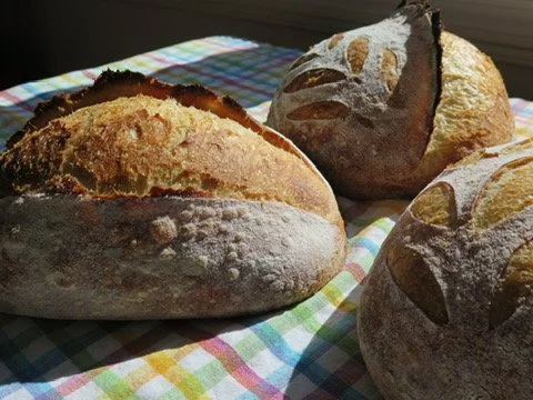 Three artisan sourdough bread loaves on a checkered tablecloth.
