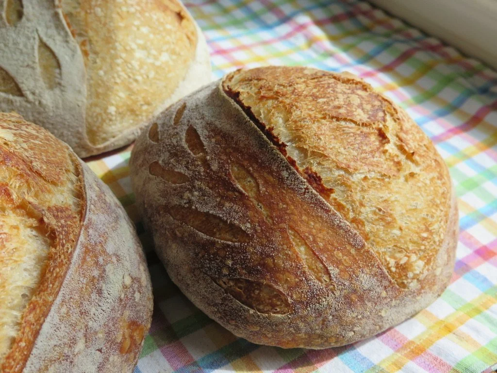 Close-up of two artisan sourdough bread loaves with scored crusts on a colorful, checkered tablecloth.