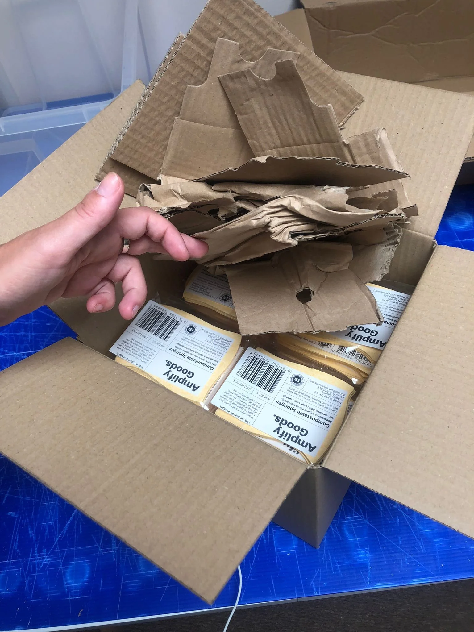 WhatsApp Image 2022-08-17 at 12.45.07.jpeg