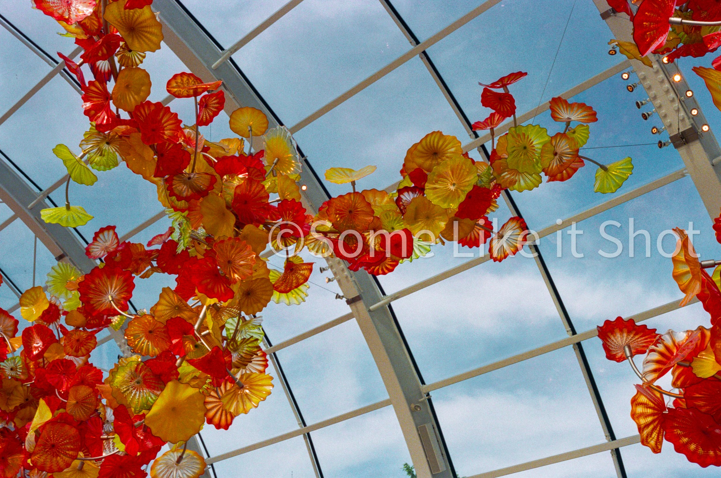 Kodak GC 400 ISO Color 35mm Film