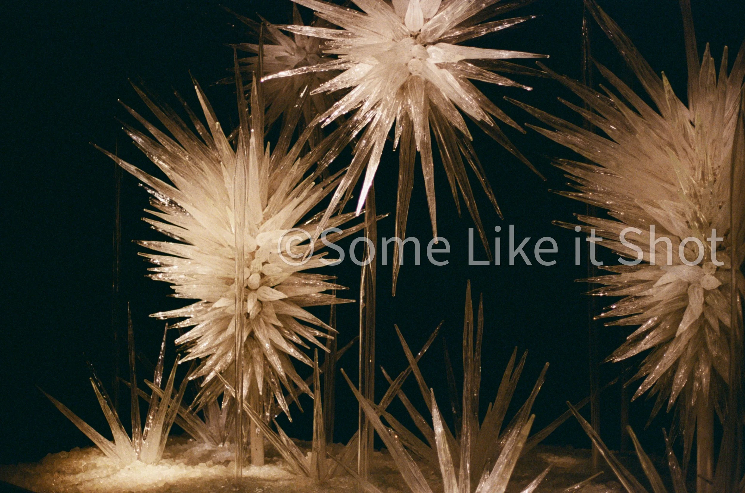 Kodak GC 400 ISO Color 35mm Film