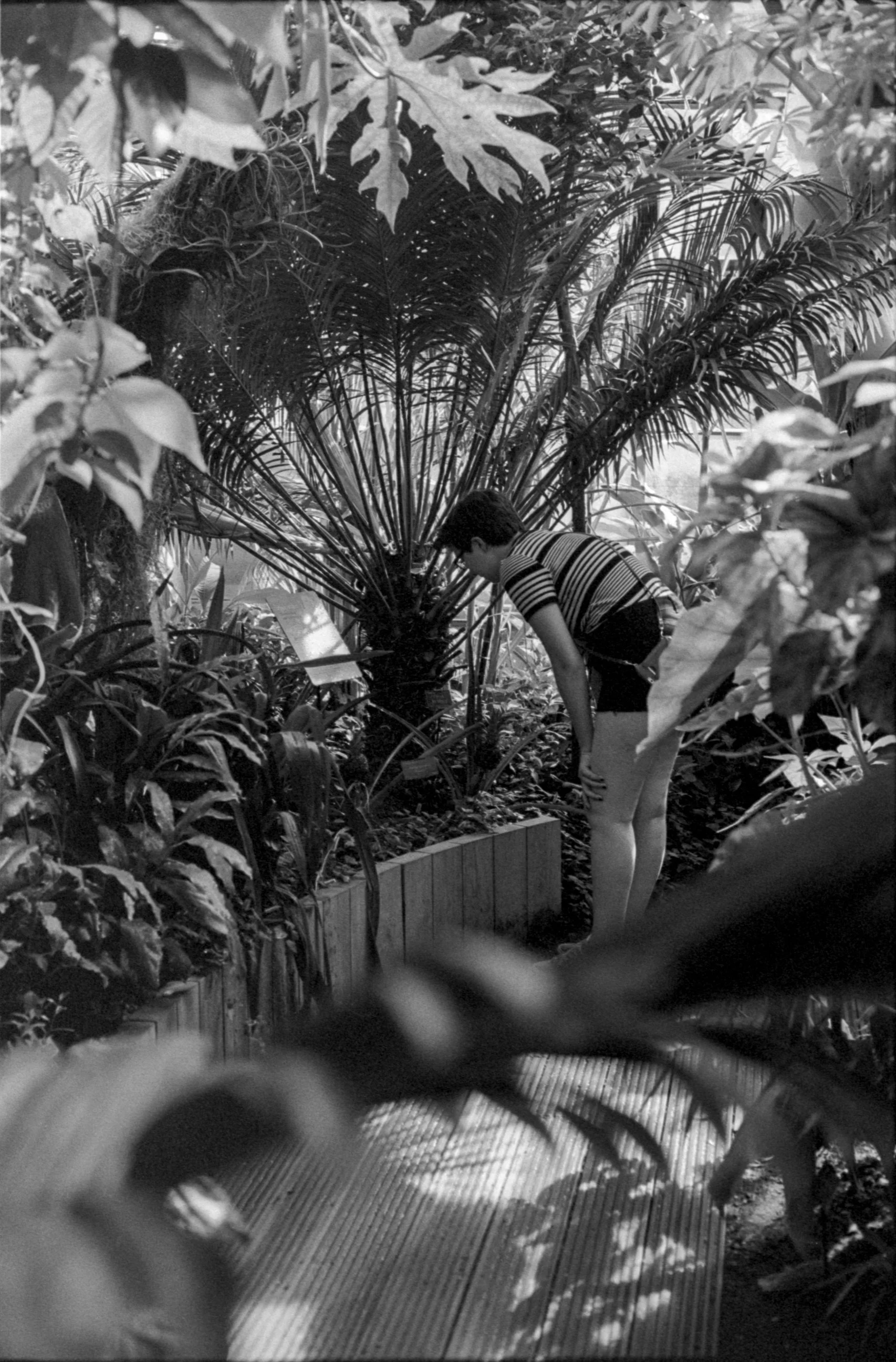 Kodak Tri-X 400 ISO B&W 35mm Film