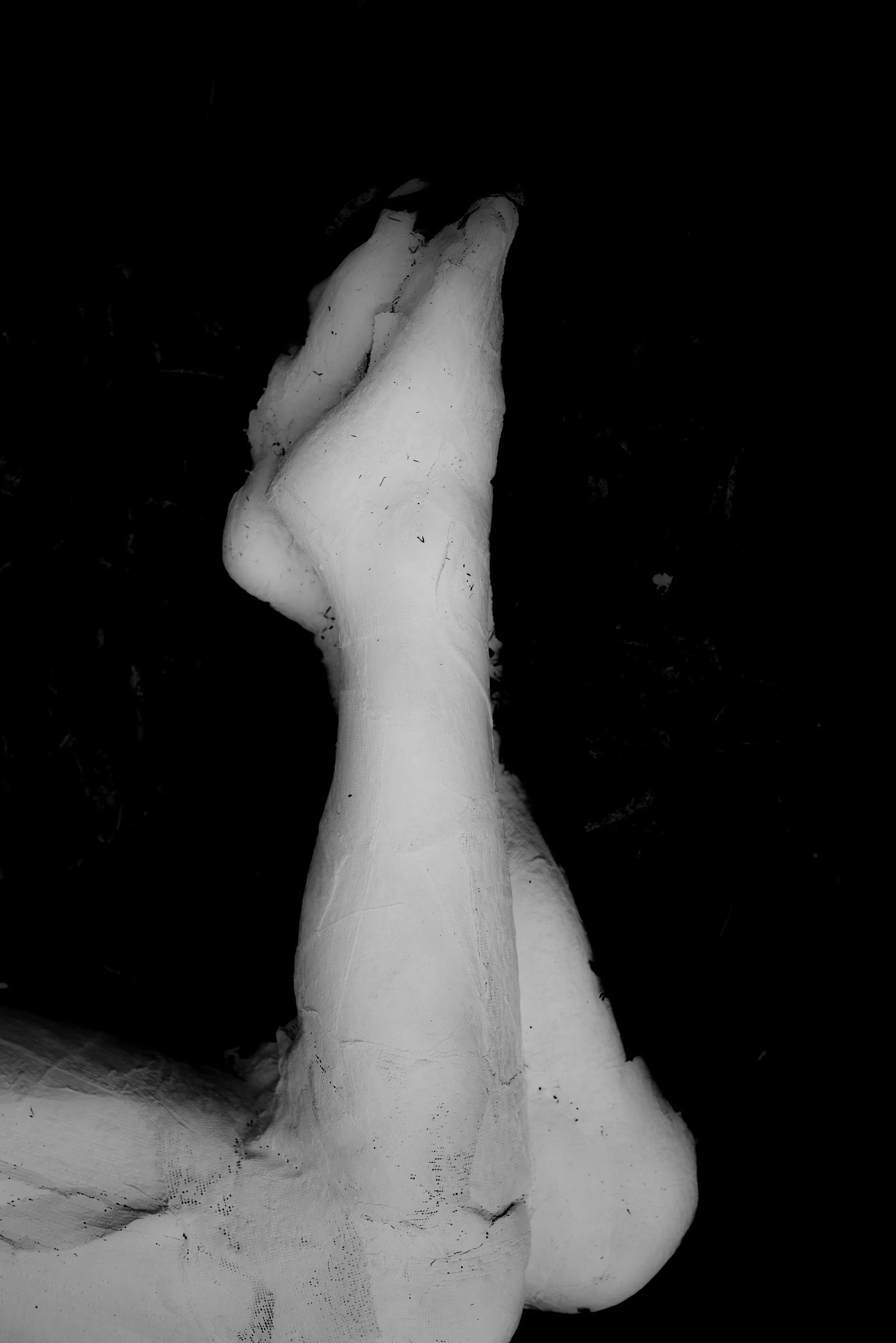 magdalene refound, 2026