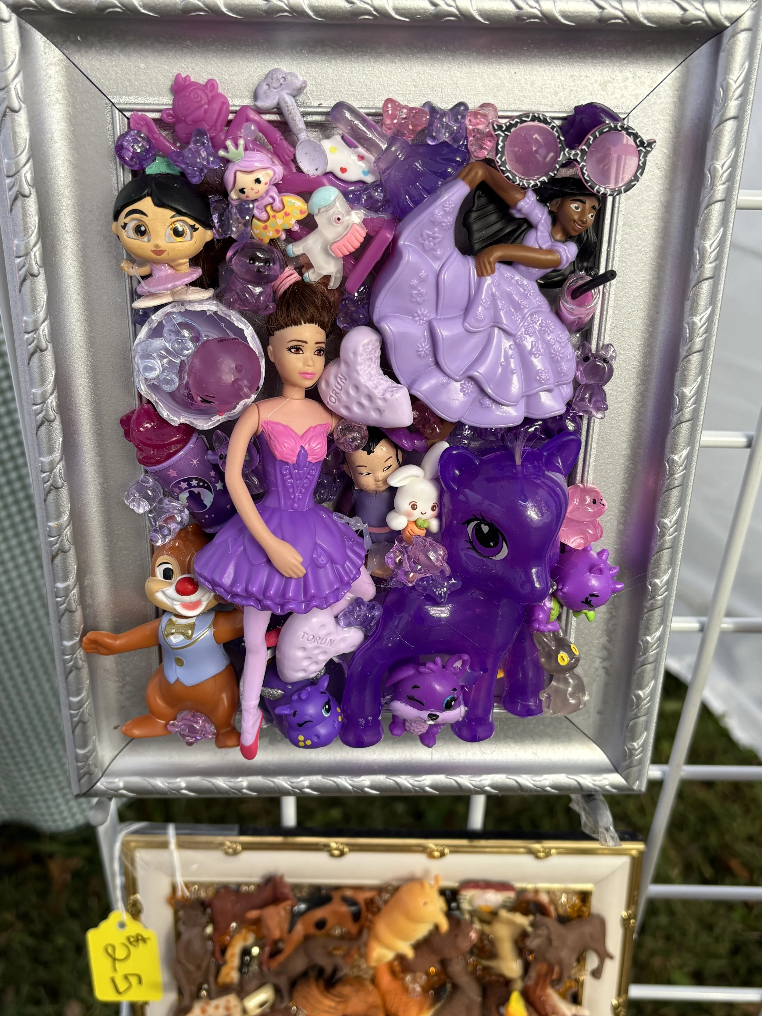 Explosion of Purple.JPG