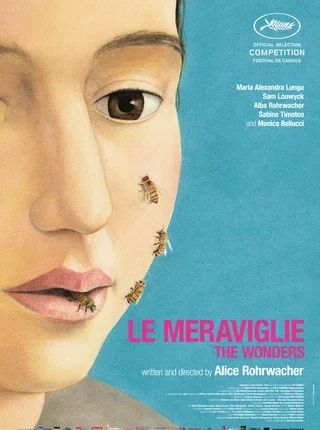 Le Meraviglie (2014)