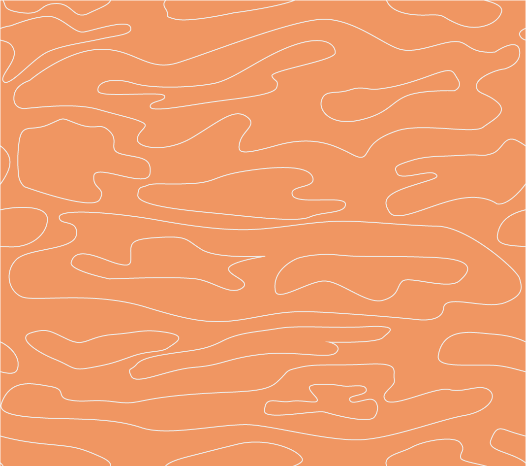PRINT VARIANT #1_Apricot.png