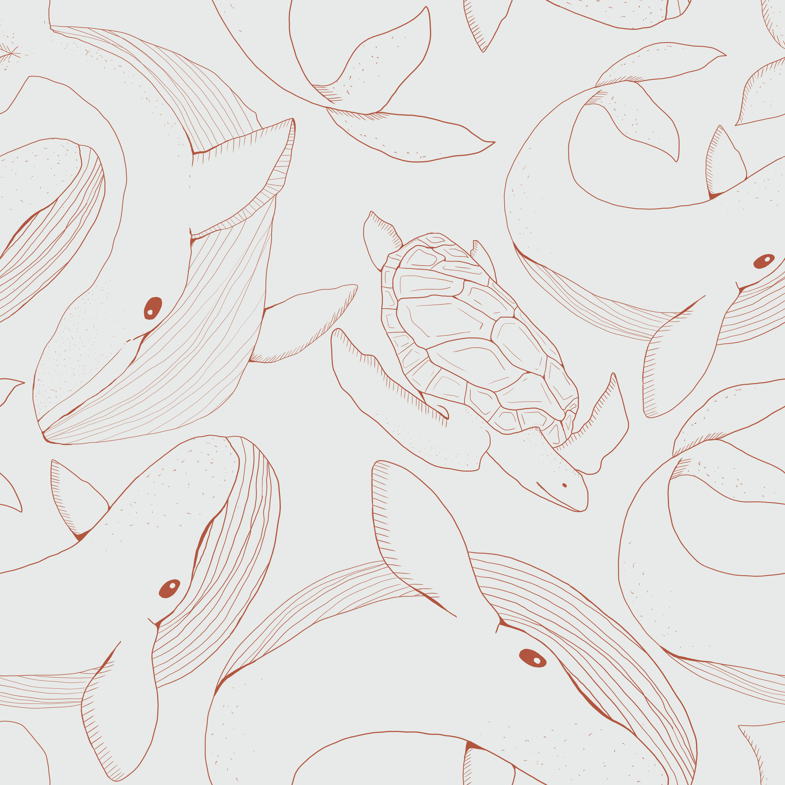 Line art illustration of various fish and a turtle in a light blue background.