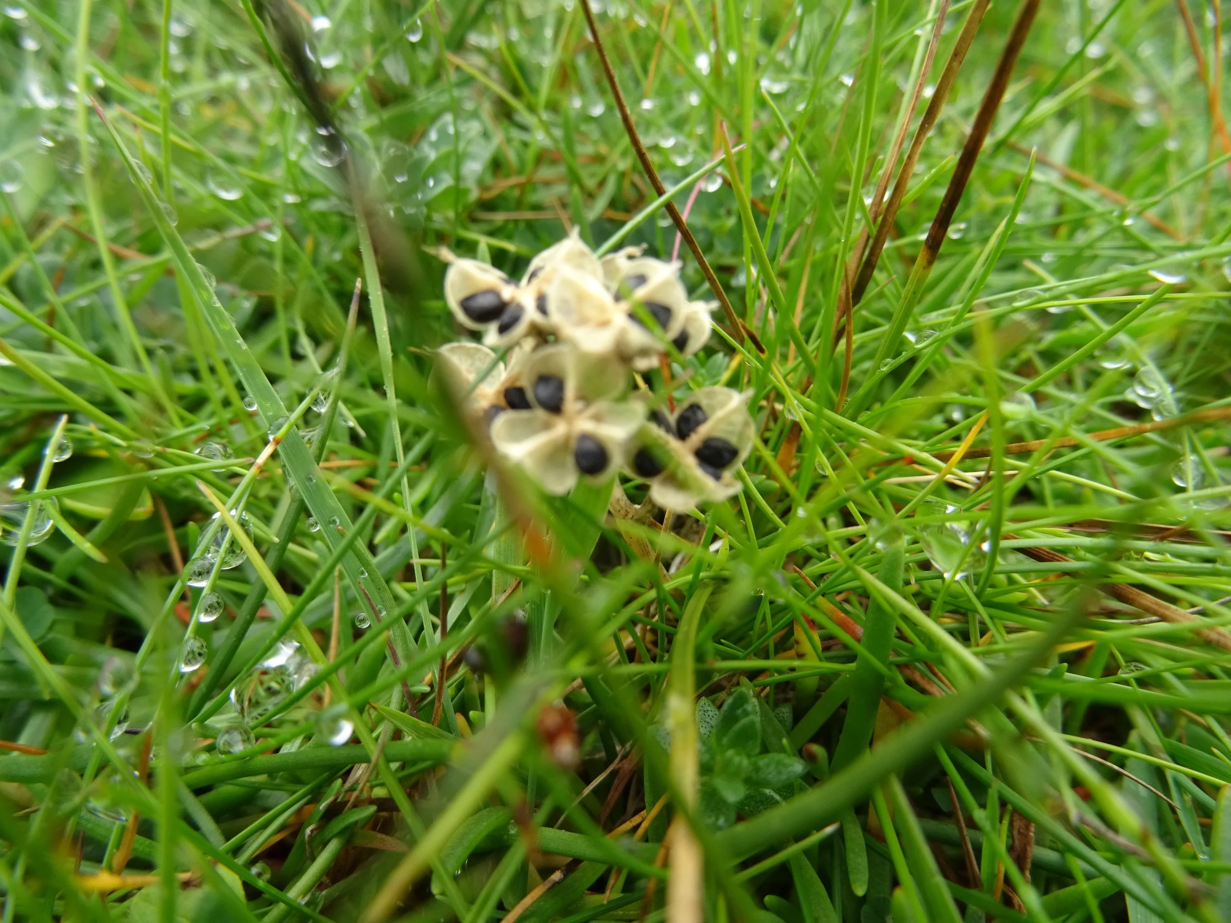DSC08861.jpg