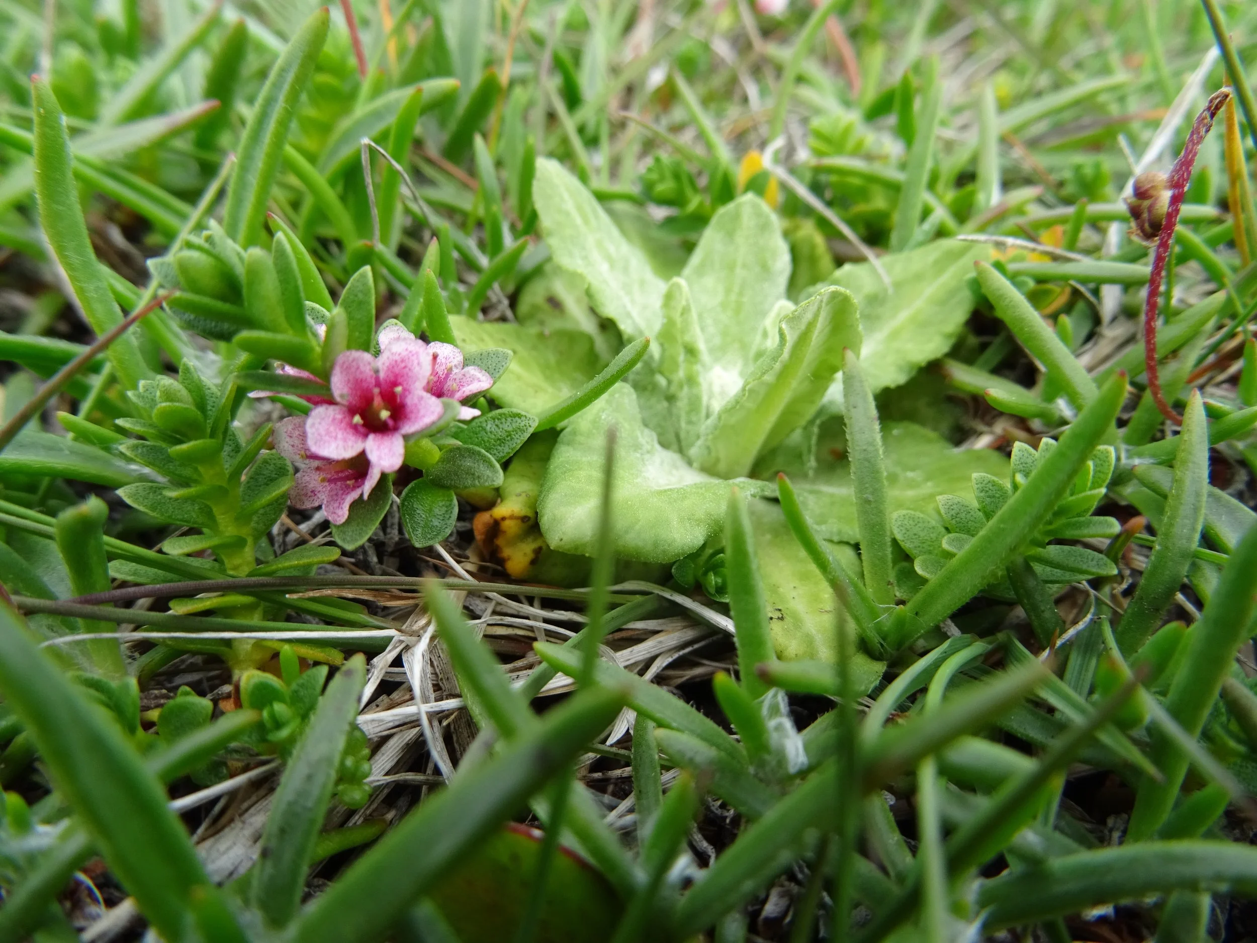 DSC09058.jpg