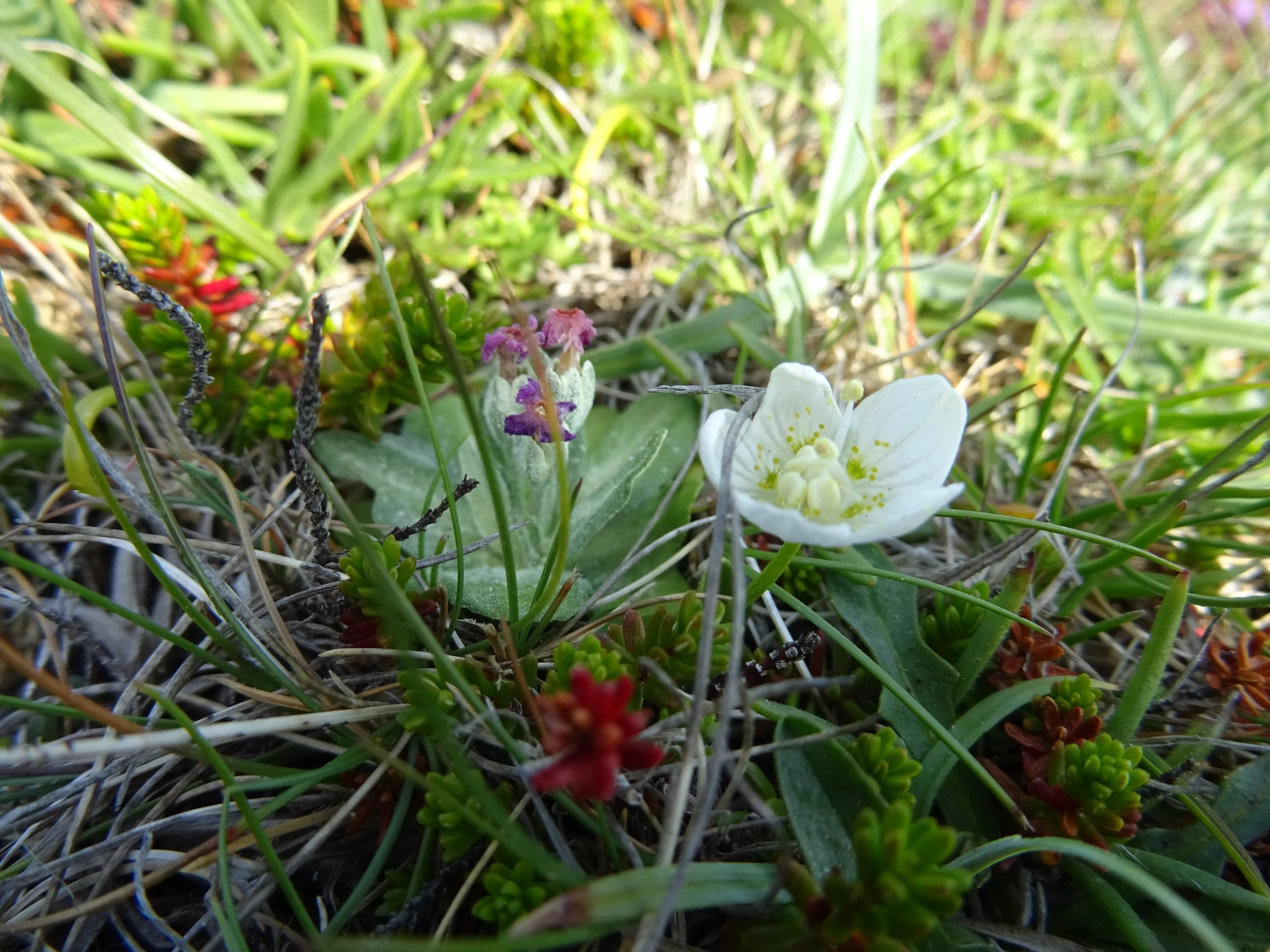 DSC09081.jpg