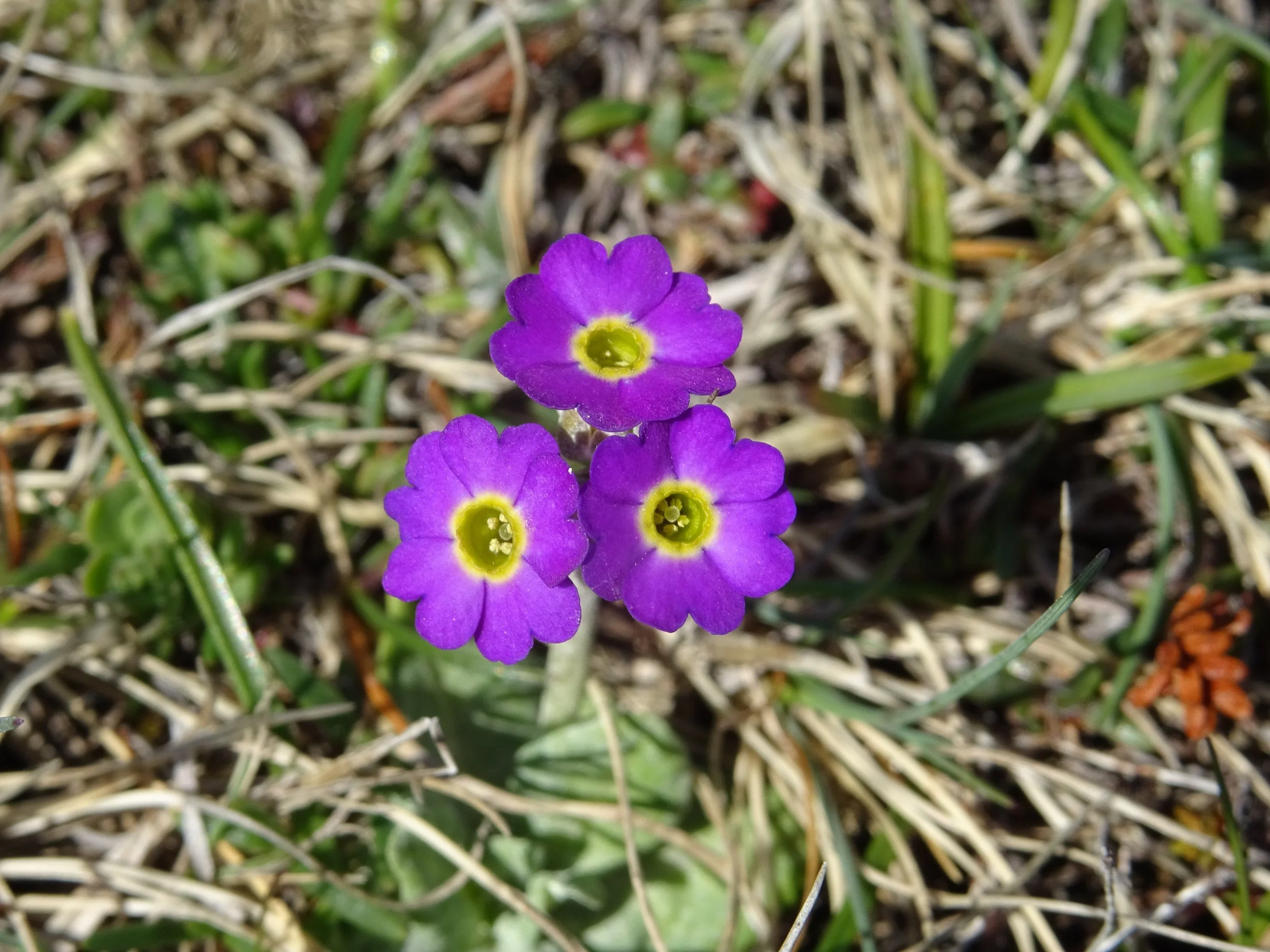 DSC09147.jpg