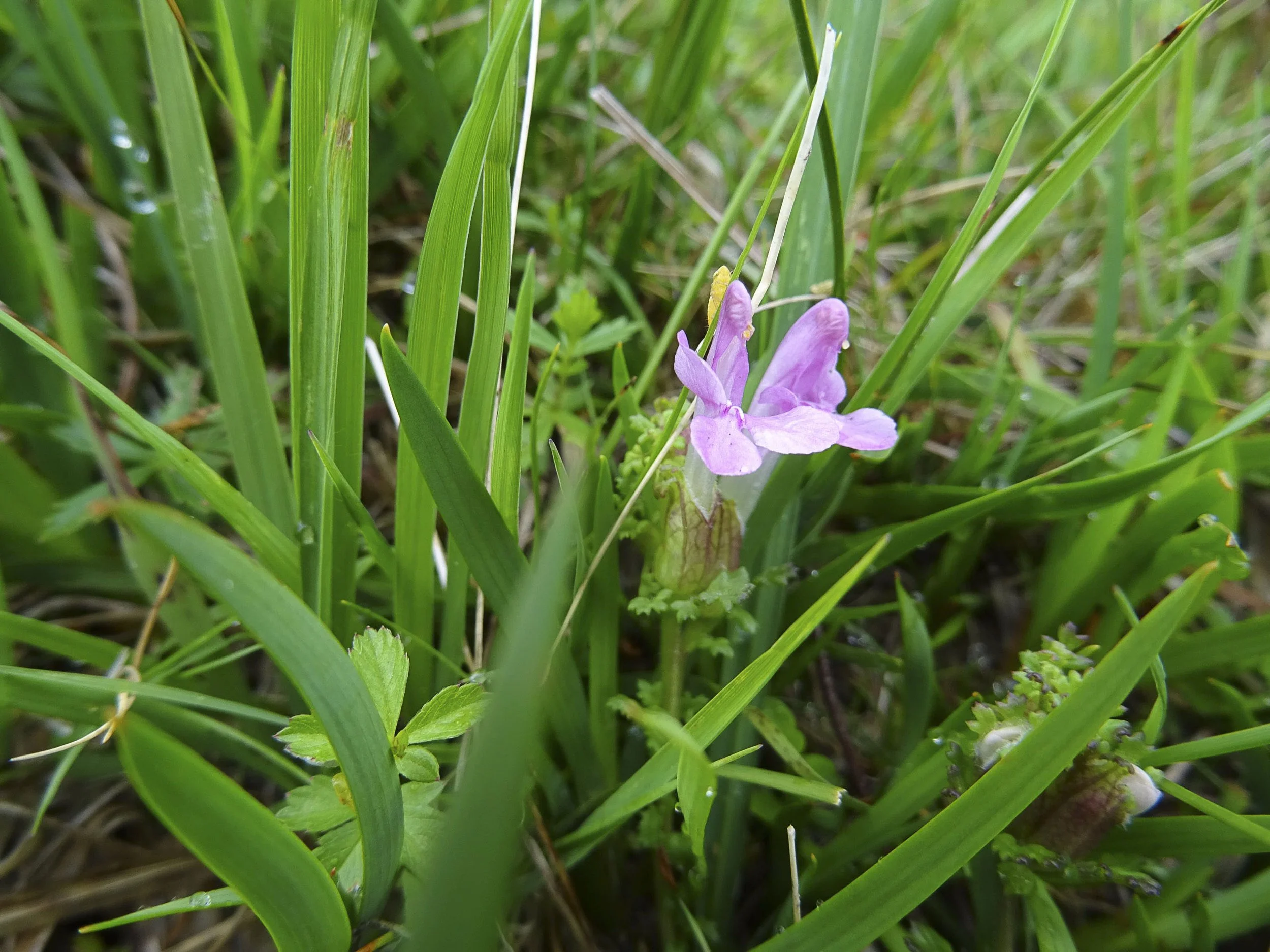 DSC09080.jpg
