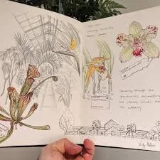images (3).jpg
