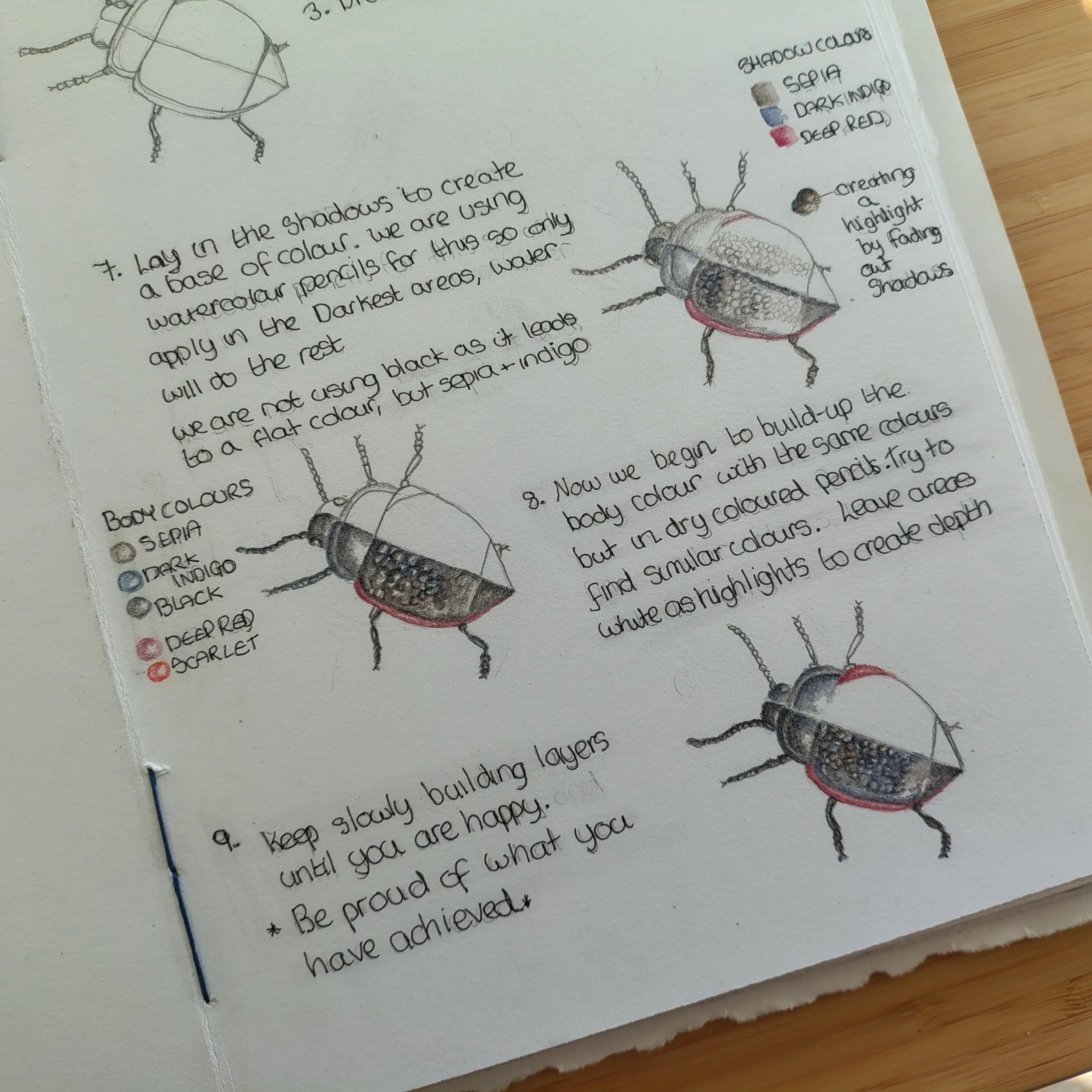 Plantain Leaf Beetle Drawing Class: Dounby Primary, Orkney
