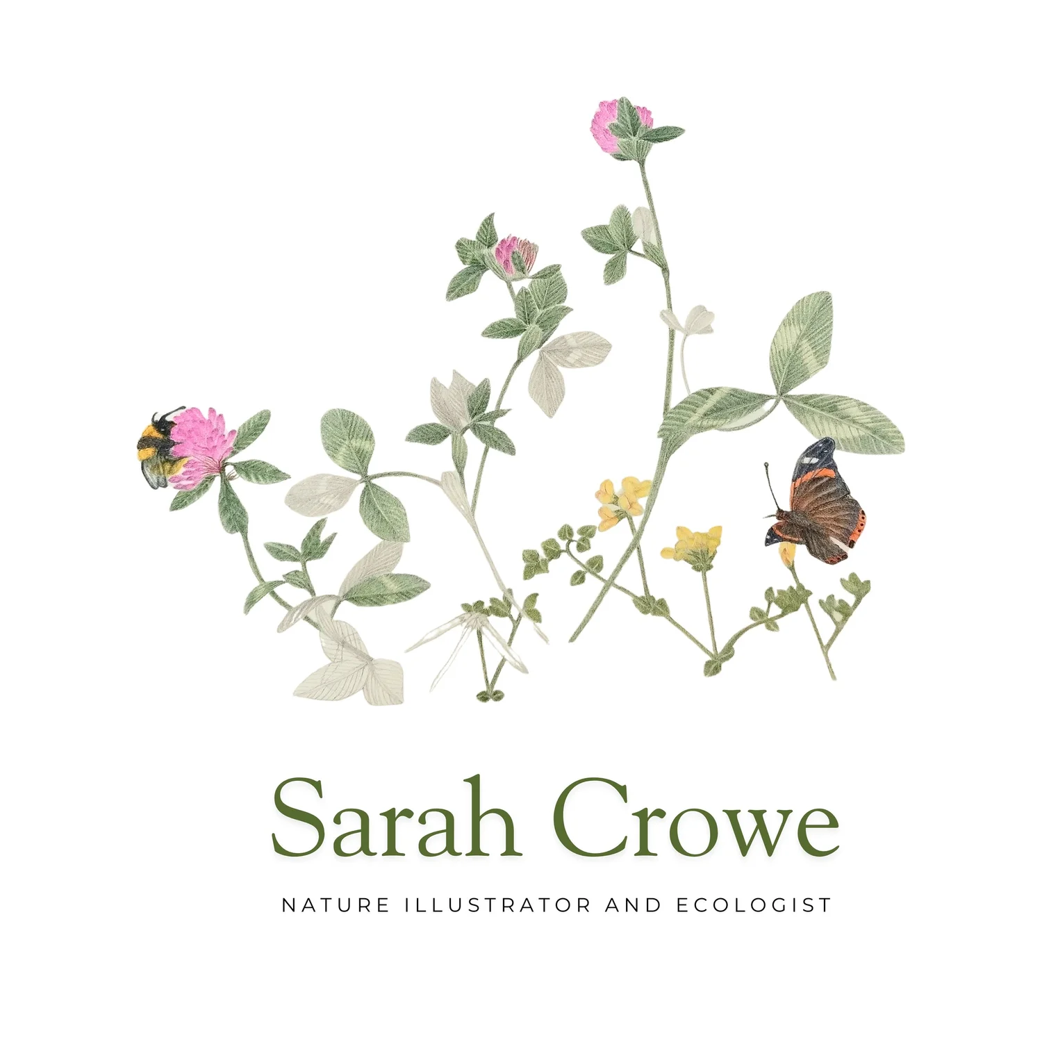 Sarah Crowe Nature Artist