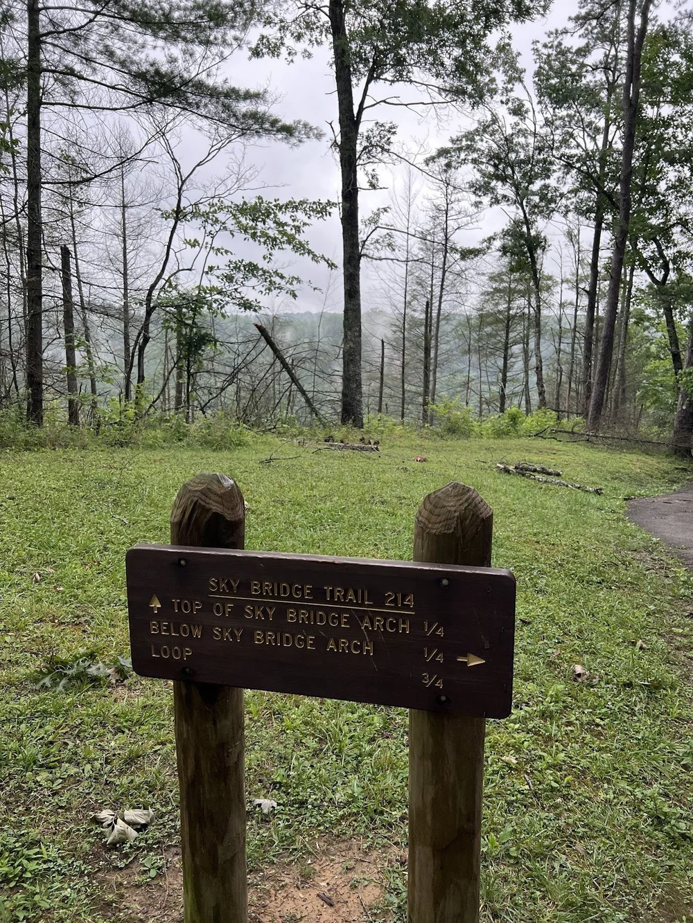 skybridgetrail.jpg