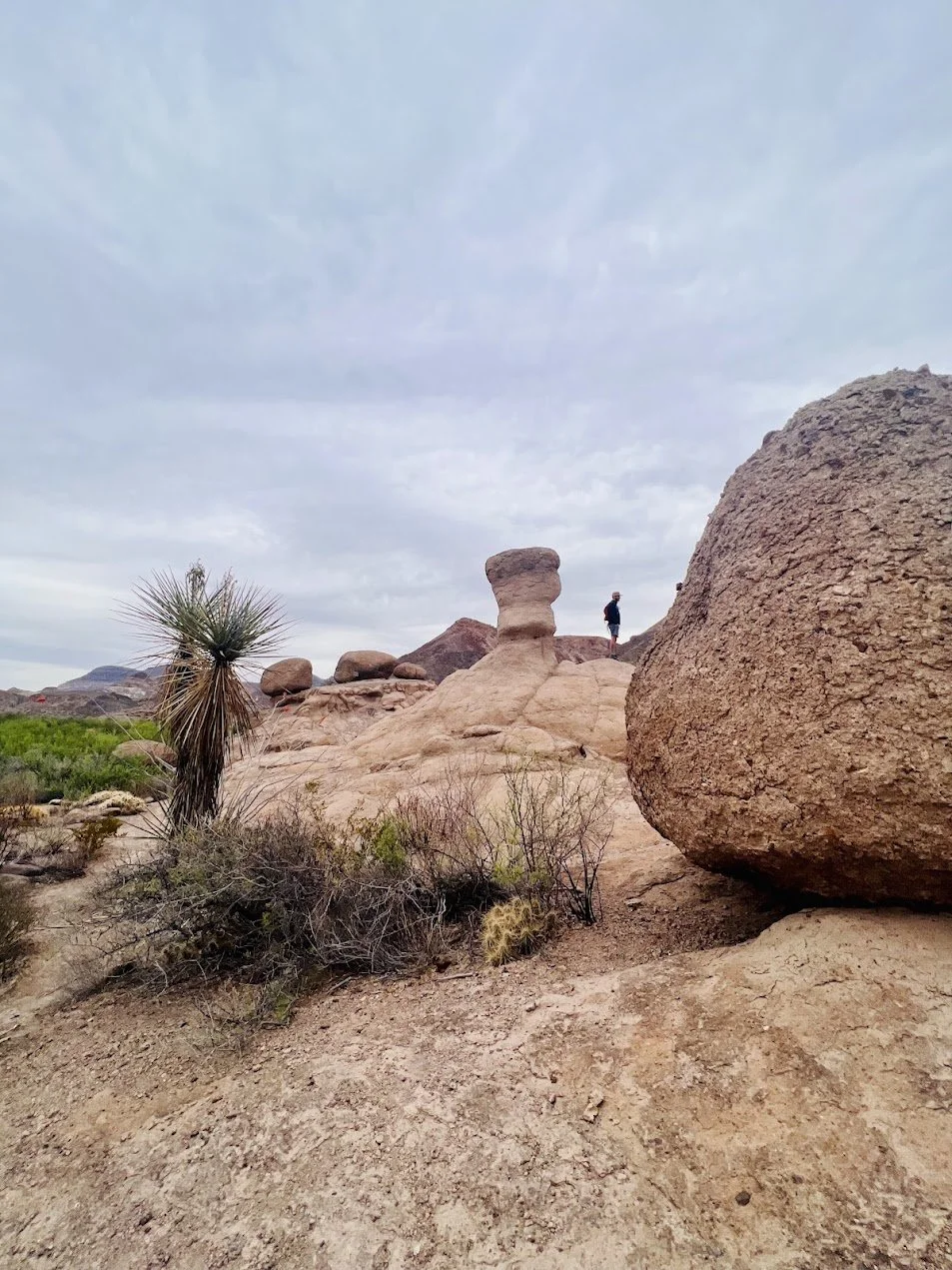 hoodoosbbranch.jpg