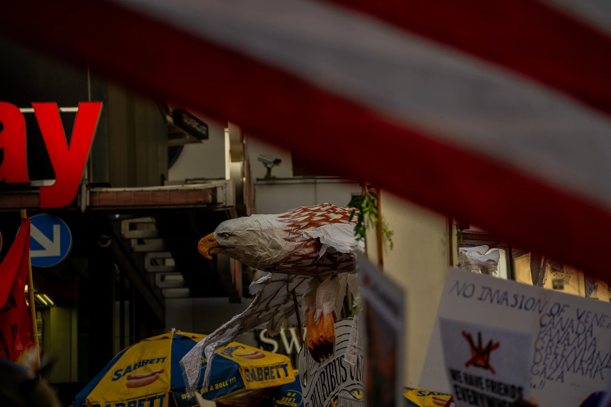 DSC09695.jpg