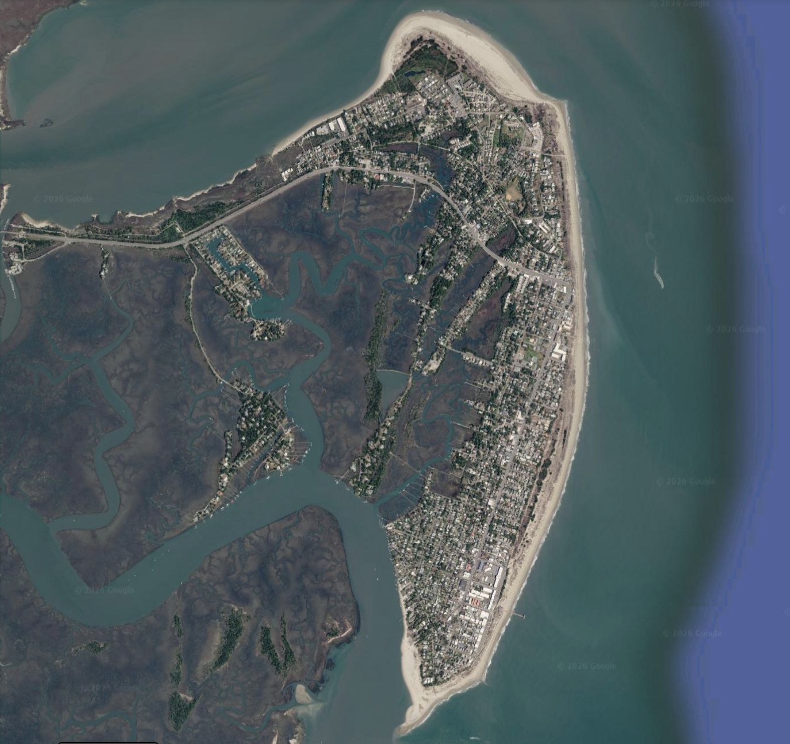 The local advantage: tybee island