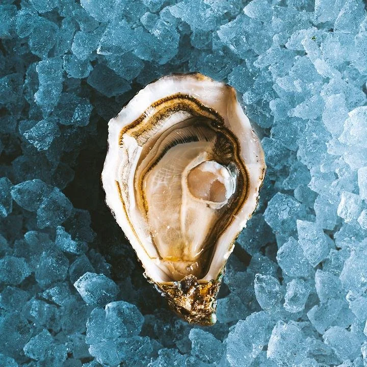 WhatsApp Image 2025-07-18 at 09.34.41 (1).jpeg