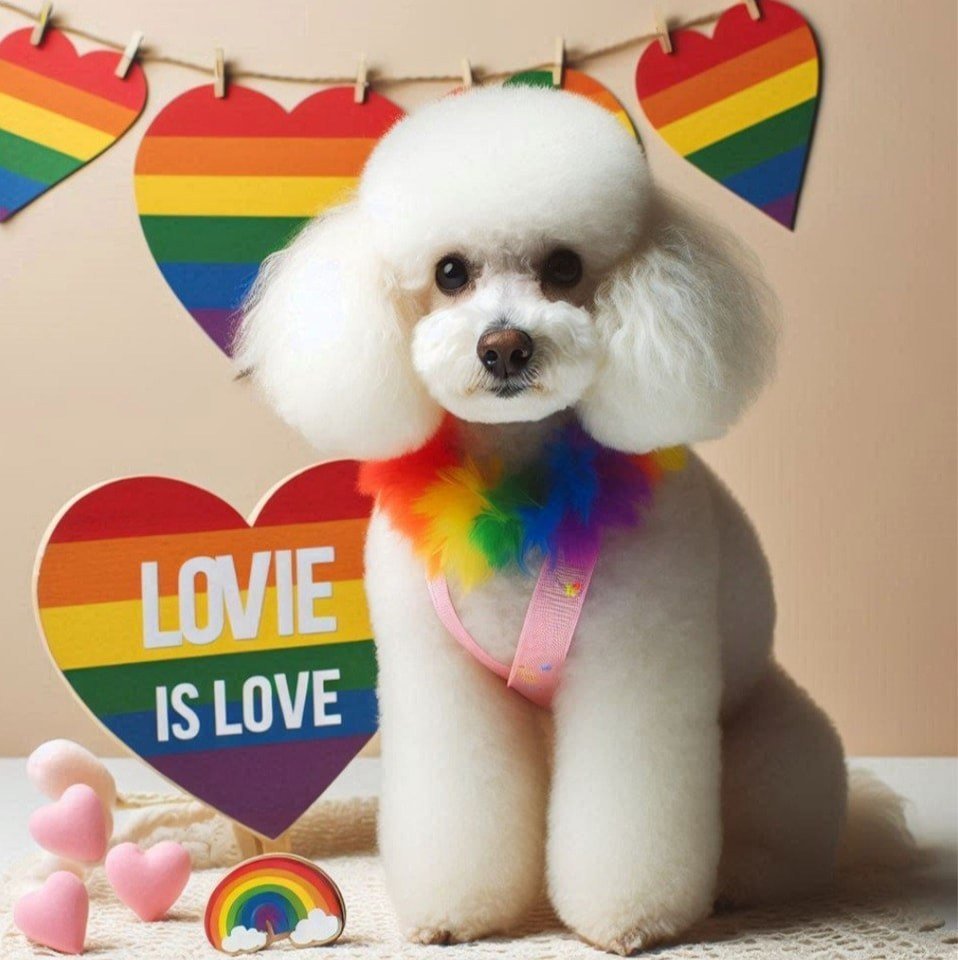 A fluffy white poodle wearing a rainbow-colored accessory sits in front of heart-shaped rainbow decorations. A large heart displays the phrase 'Love is Love.'
