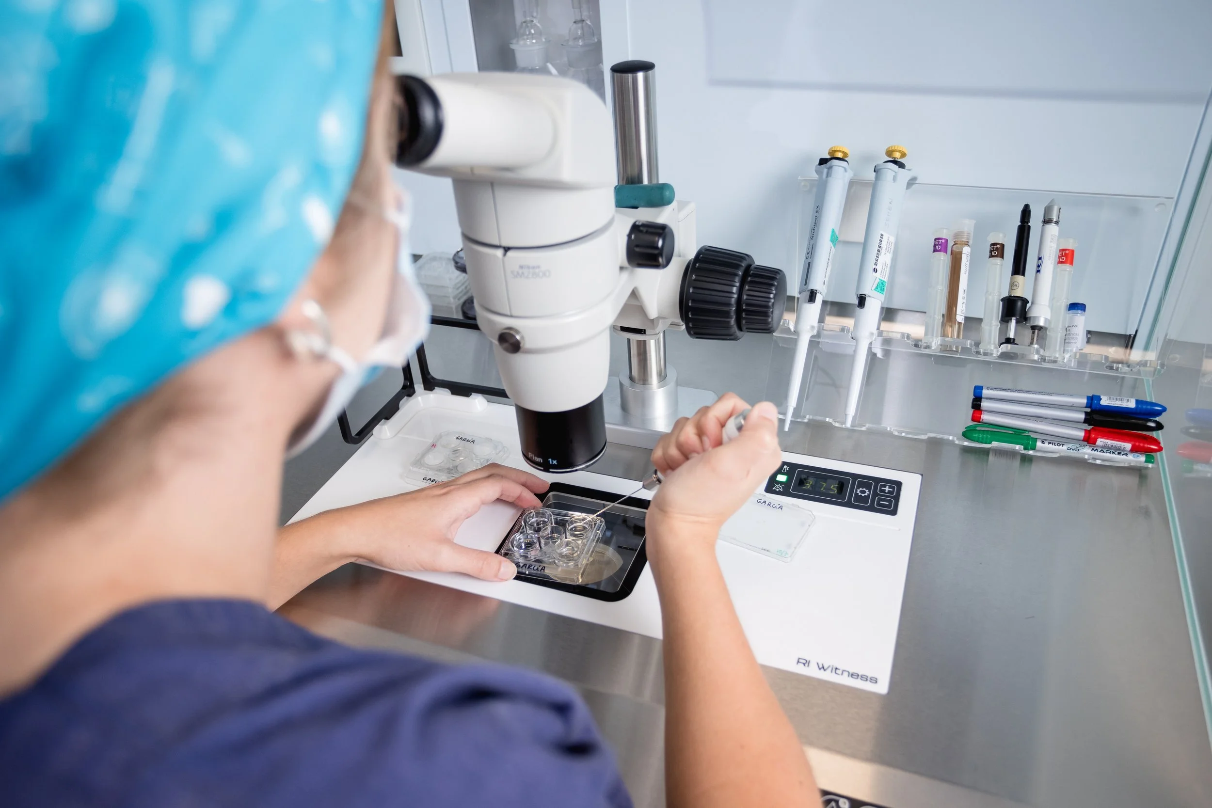 embriologa lavorando in laboratorio