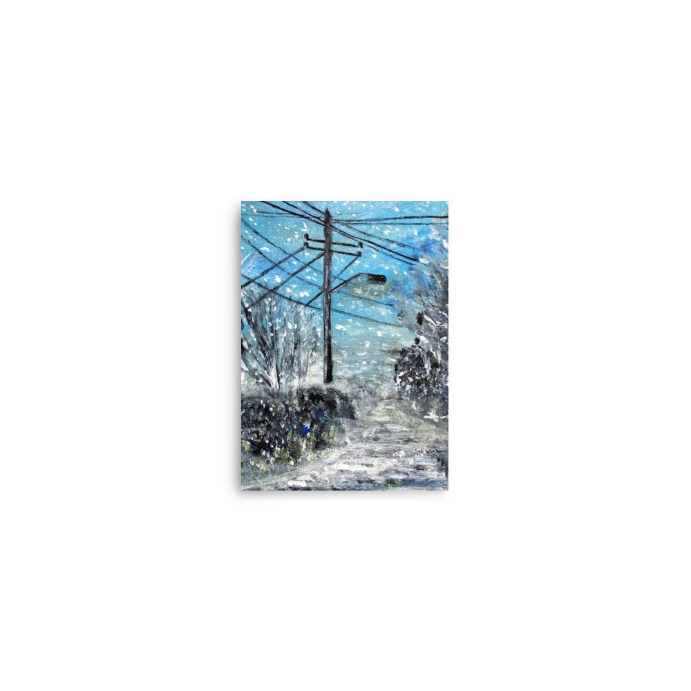 enhanced-matte-paper-poster-(in)-5x7-front-67fd15abd4fc6.jpg