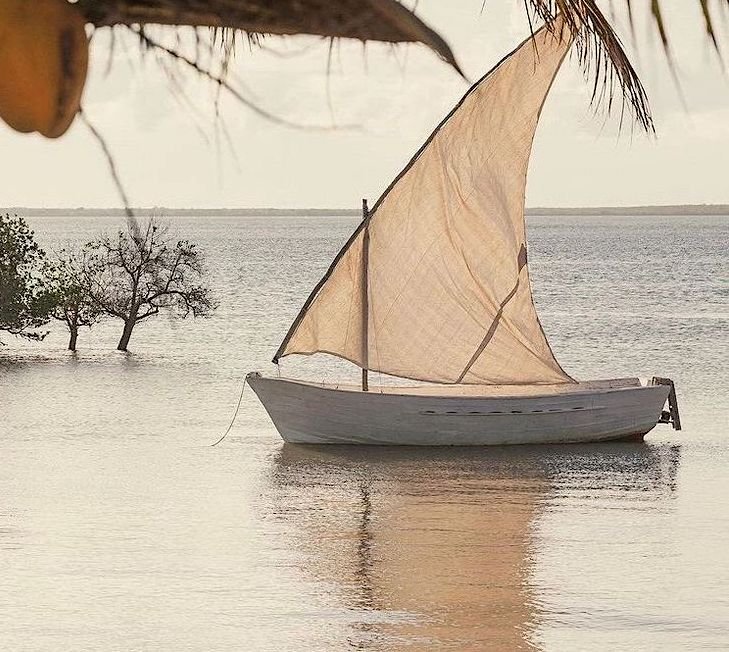 Tropical beach scene with palm trees, sandy shore, and ocean waves under a partly cloudy sky at sunset or sunrise.