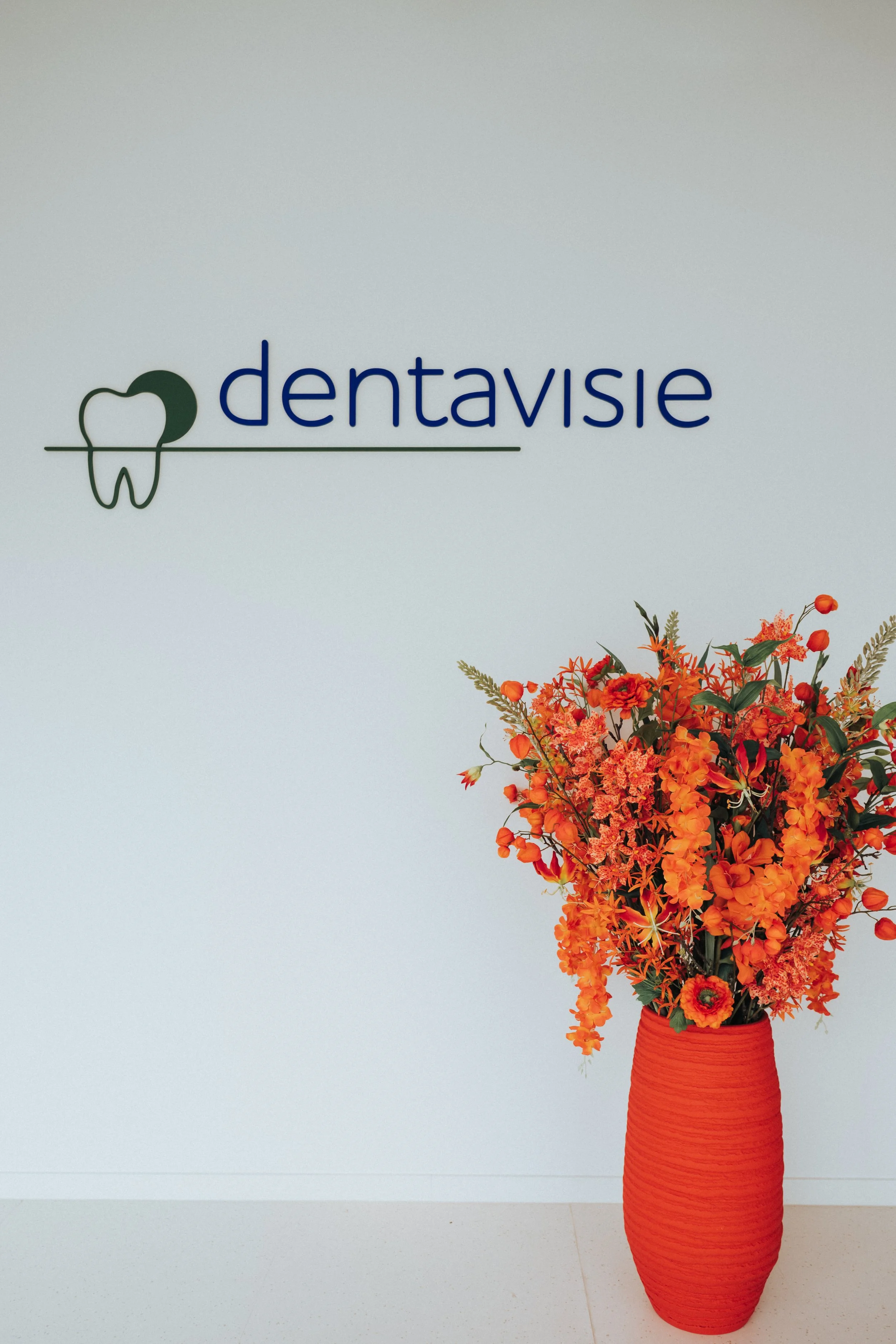 dentavisie logo
