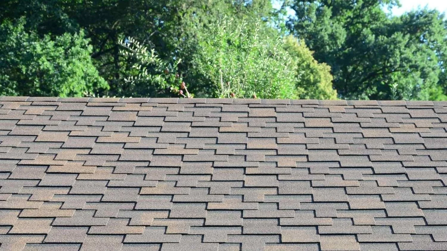 Asphalt shingles on midwest home