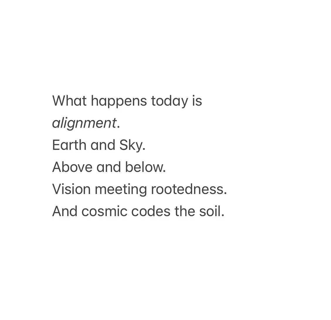 ✨ How we can understand this Capricorn New Moon better and why it&rsquo;s important 

A little channeling for us.

I hope you had a great Sunday 🦋.

I can&rsquo;t wait to see all our dreams and visions come alive this year 🥹.

What is your most pre